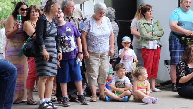 crowd pusic1
