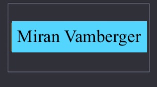 Logo Miran Vamberger