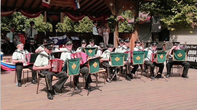 Showcasers Ulster Accordion Band4