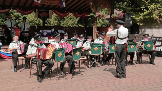 Showcasers Ultster Accordion Band1